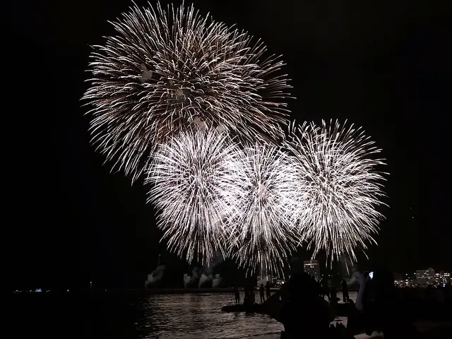 熱海海上花火大会（秋・冬）の過去の大会の花火（Wikimedia Commons の写真）