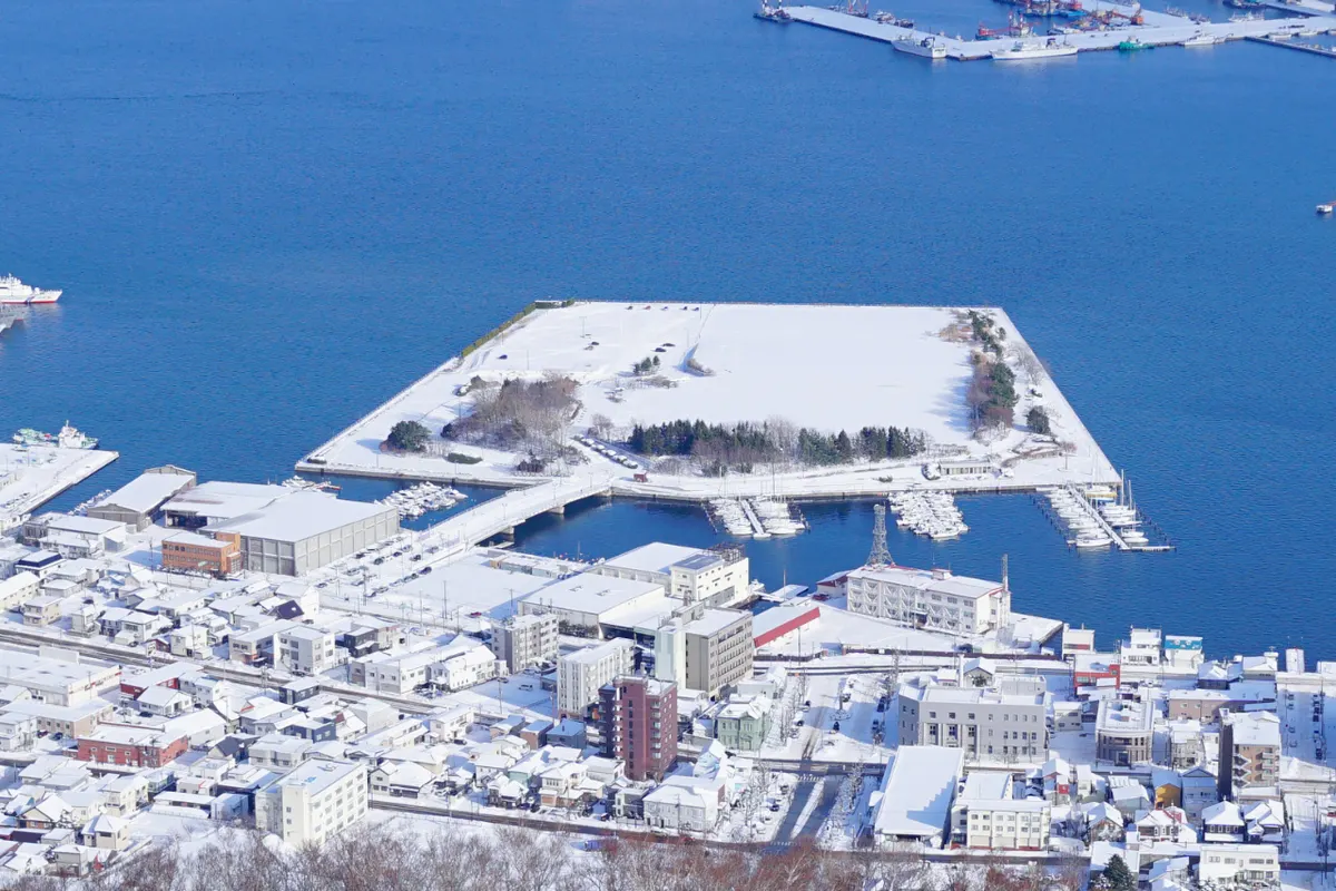雪をかぶった函館港の緑の島と、まわりの港と市街地（函館山から見下ろした景色）