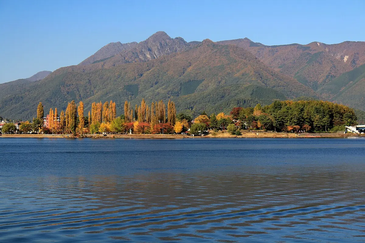 河口湖の湖面と、紅葉したポプラ並木の大池公園、その奥の御坂山地