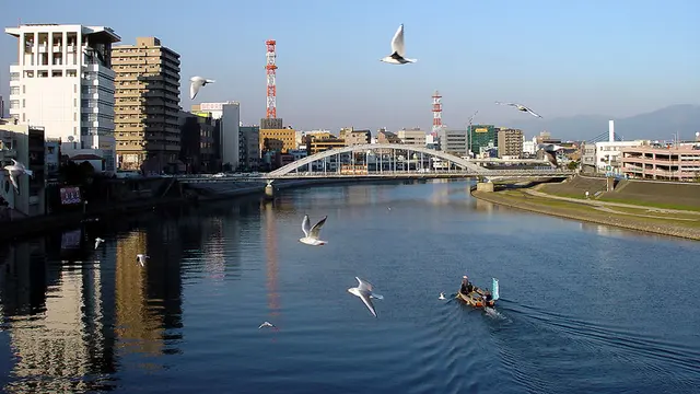 雄大グループ40周年記念 花火＆ドローンショー（沼津）の会場の周りの景色（Wikimedia Commons の写真）