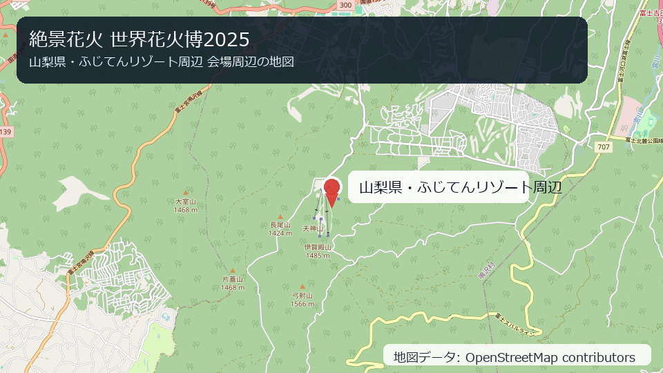絶景花火 世界花火博2025 会場周辺の地図